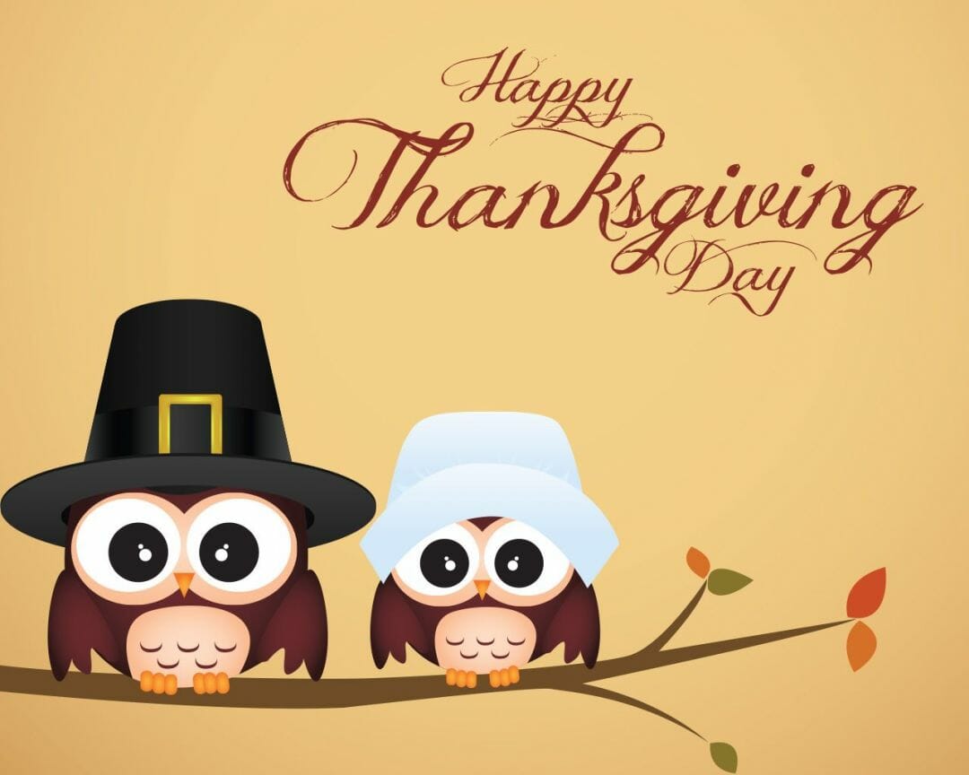 Cute Thanksgiving Wallpaper Wallpapers