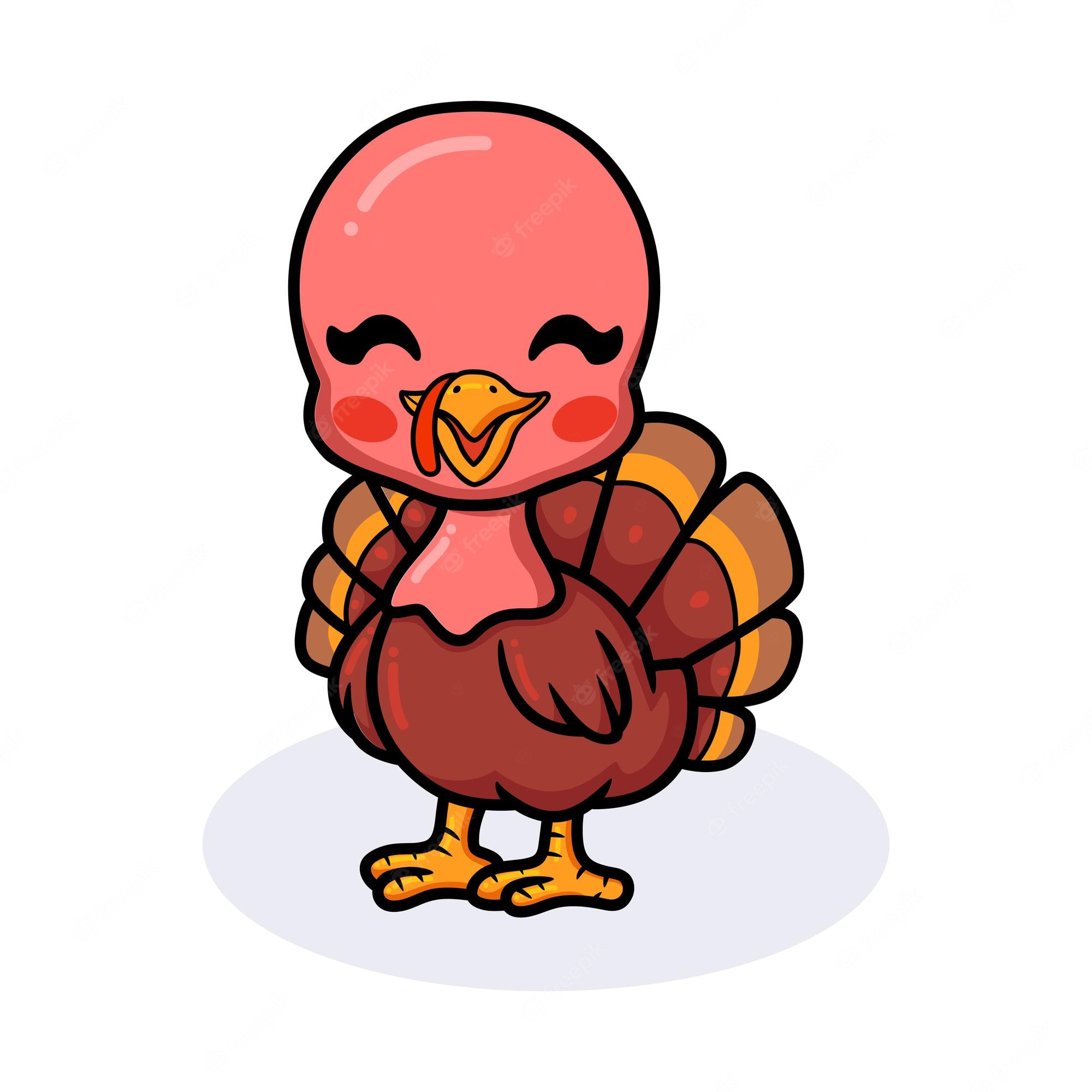 Cute Turkey Wallpapers