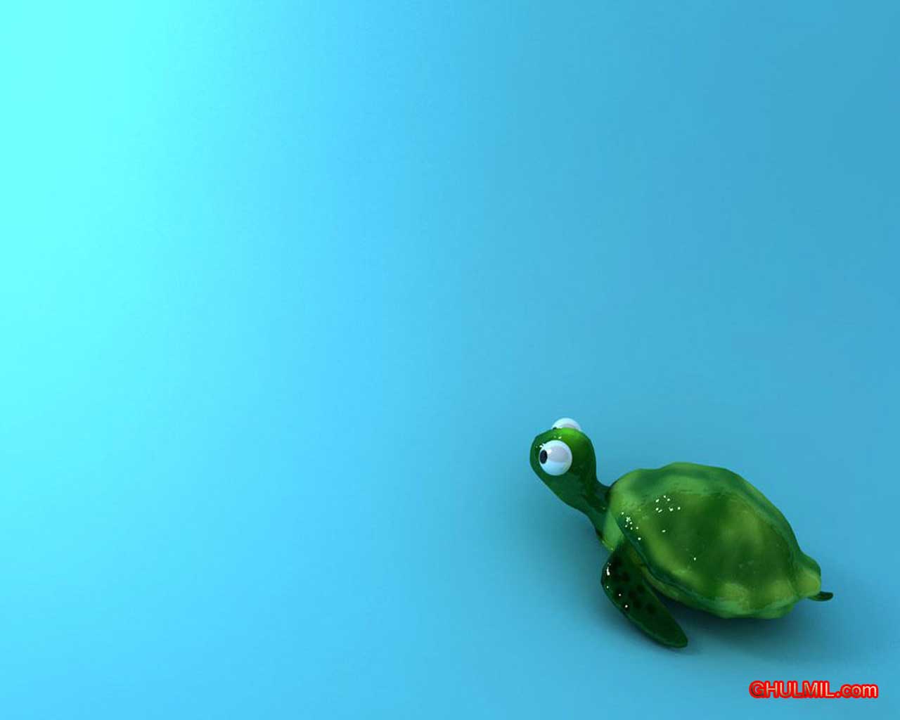 Cute Turtles Wallpapers Wallpapers