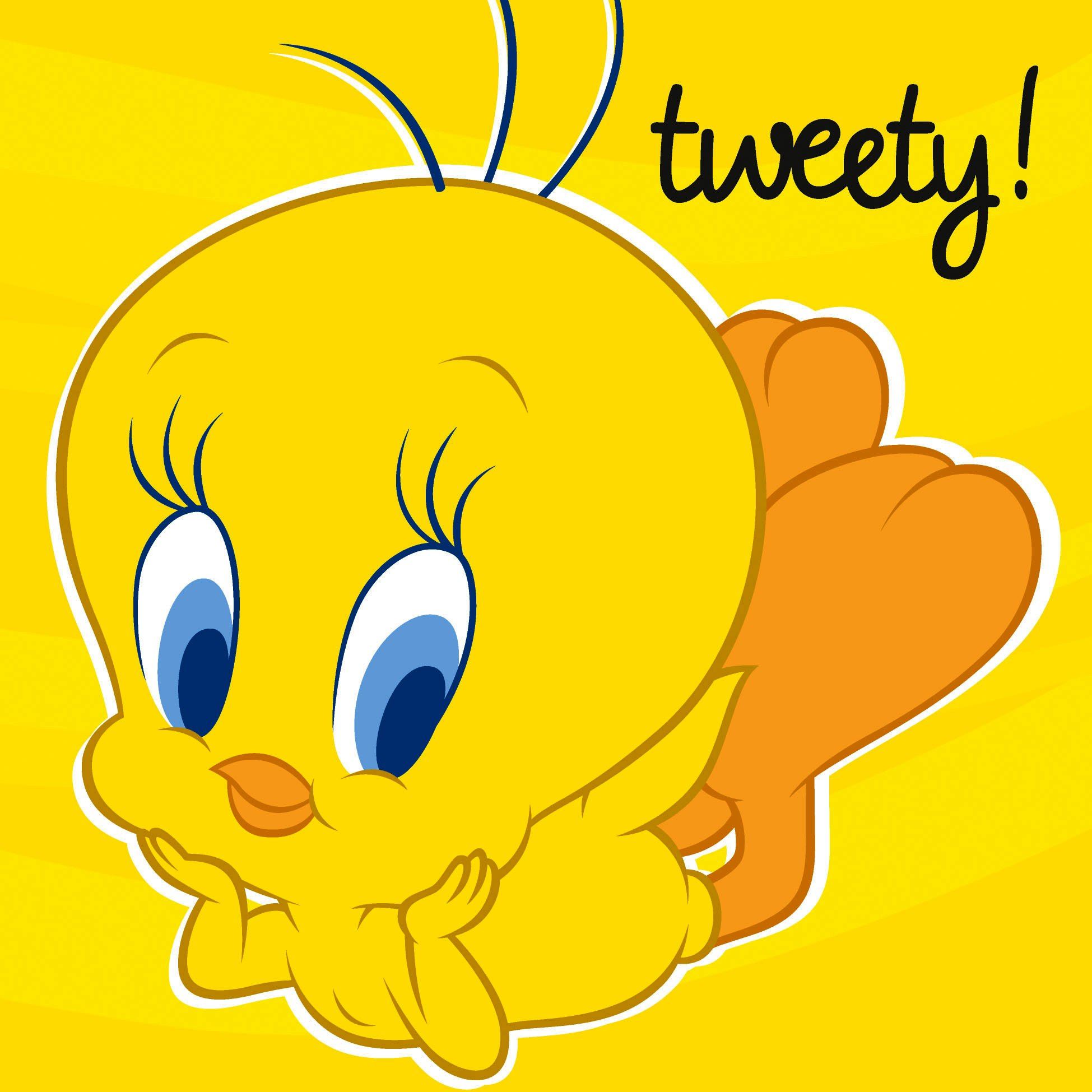 Cute Tweety Bird Wallpaper Wallpapers