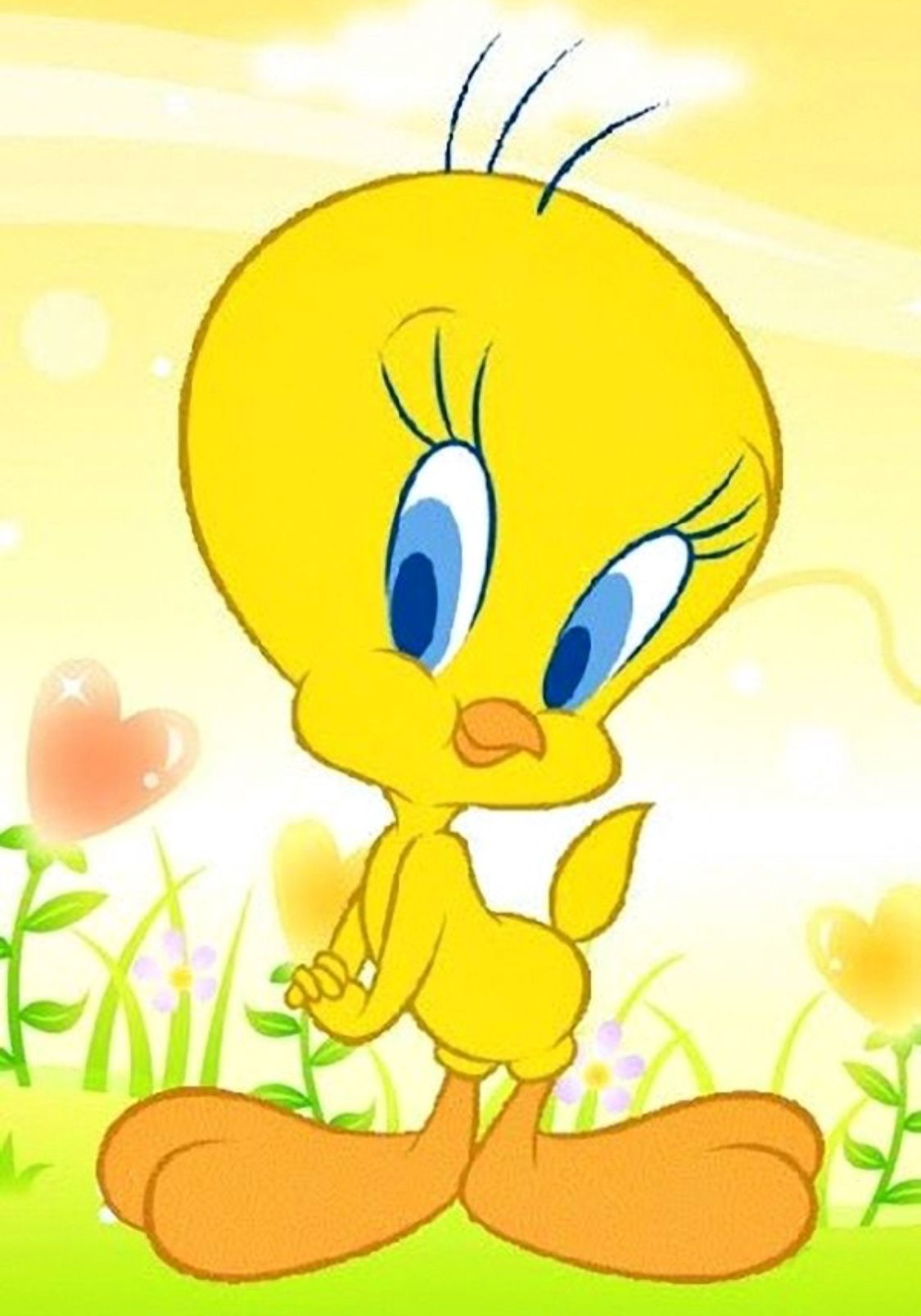 Cute Tweety Bird Wallpaper Wallpapers