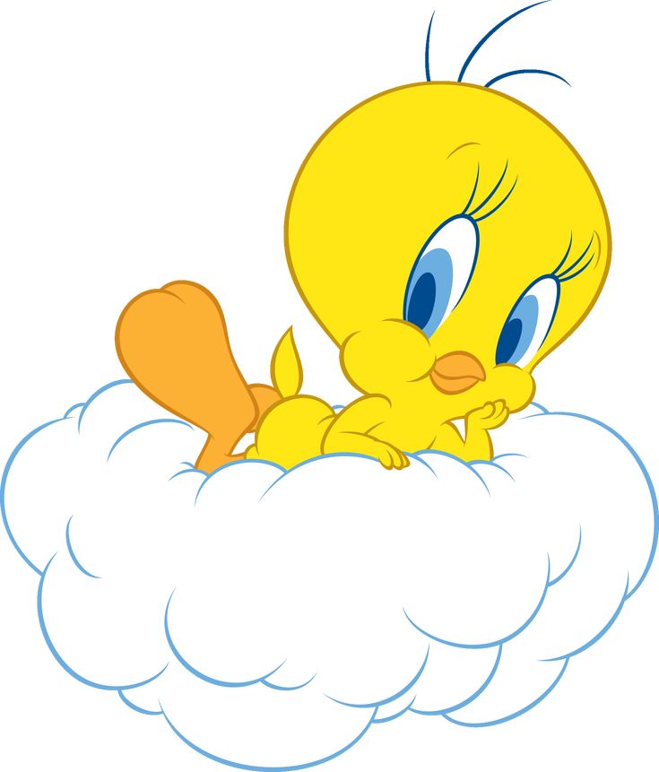 Cute Tweety Bird Wallpaper Wallpapers