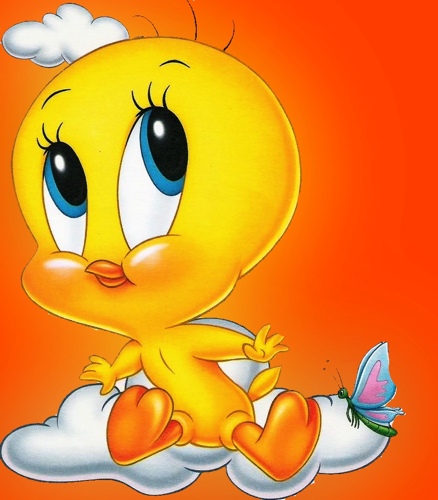 Cute Tweety Bird Wallpaper Wallpapers