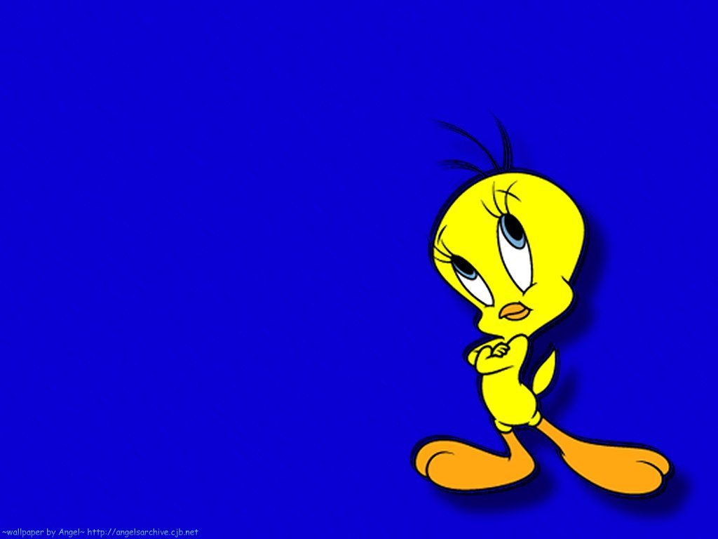 Cute Tweety Bird Wallpaper Wallpapers