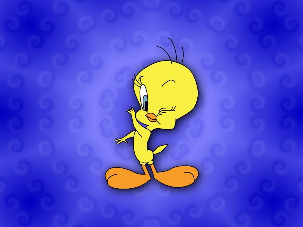 Cute Tweety Bird Wallpaper Wallpapers