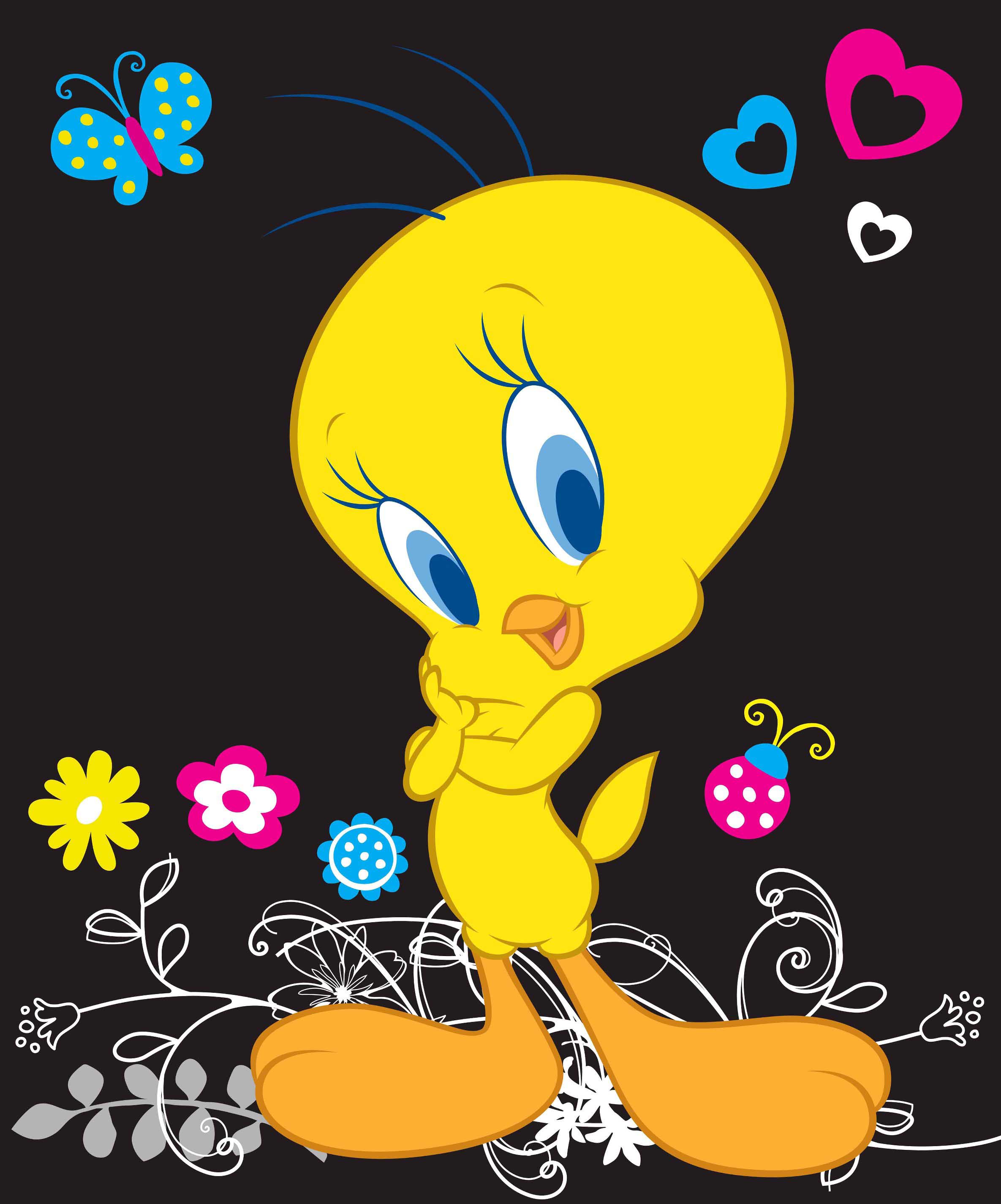 Cute Tweety Bird Wallpaper Wallpapers