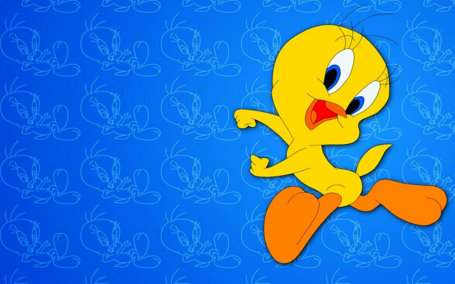 Cute Tweety Bird Wallpaper Wallpapers