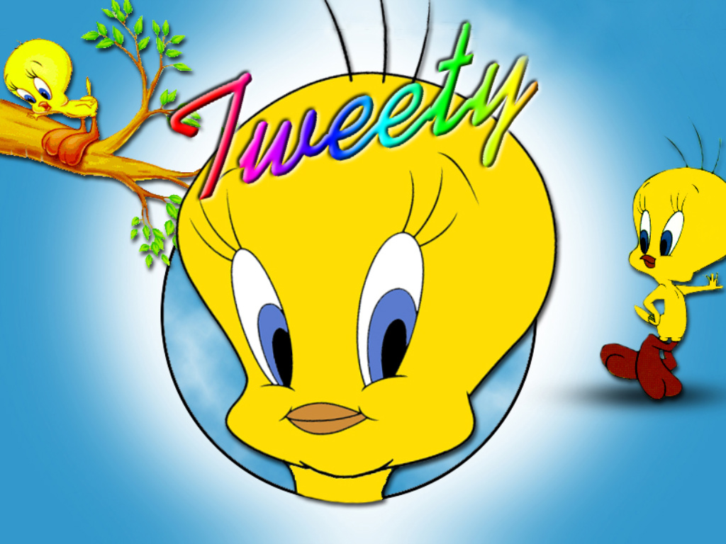 Cute Tweety Bird Wallpaper Wallpapers