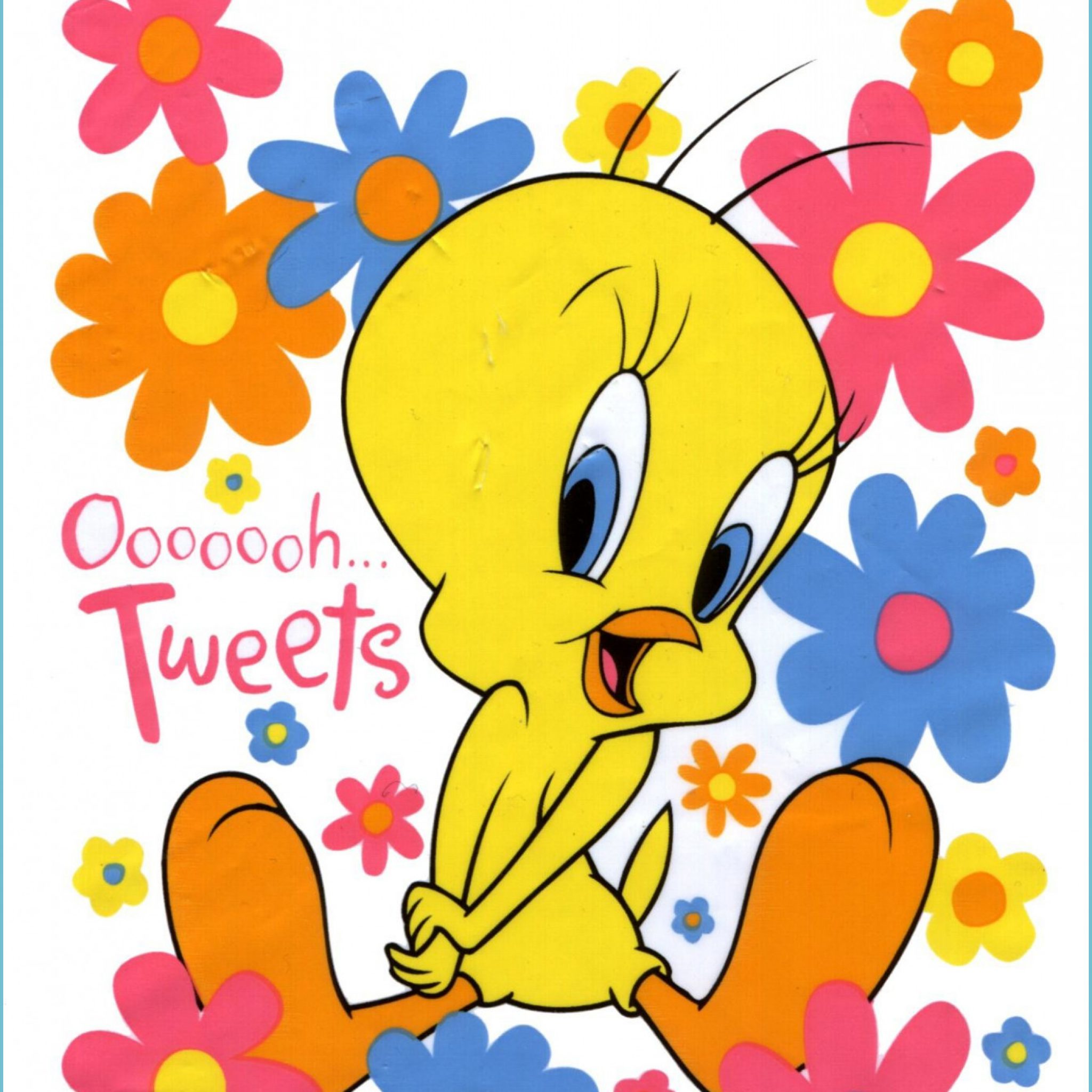 Cute Tweety Bird Wallpaper Wallpapers