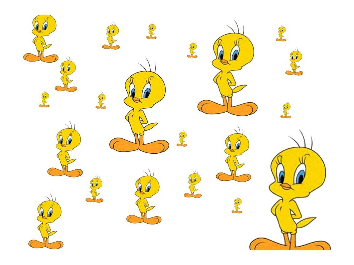 Cute Tweety Bird Wallpaper Wallpapers