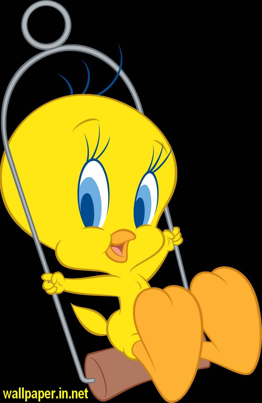 Cute Tweety Bird Wallpaper Wallpapers