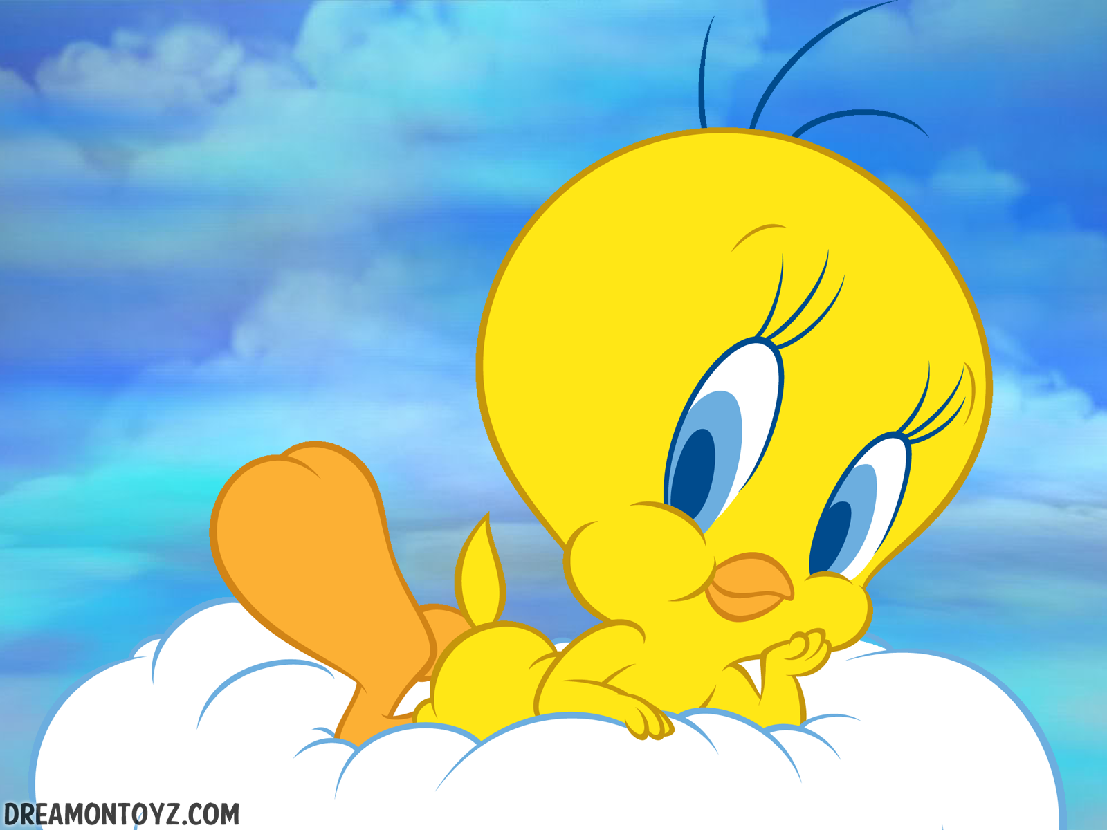 Cute Tweety Bird Wallpaper Wallpapers