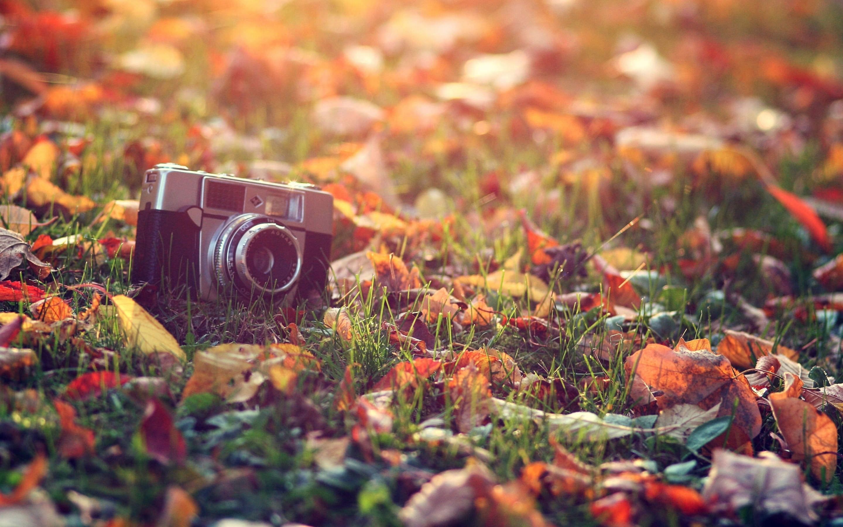 Cute Vintage Fall Wallpapers