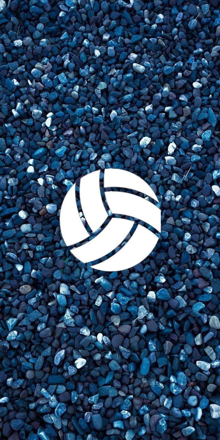 Cute Volleyball Wallpapers Wallpapers