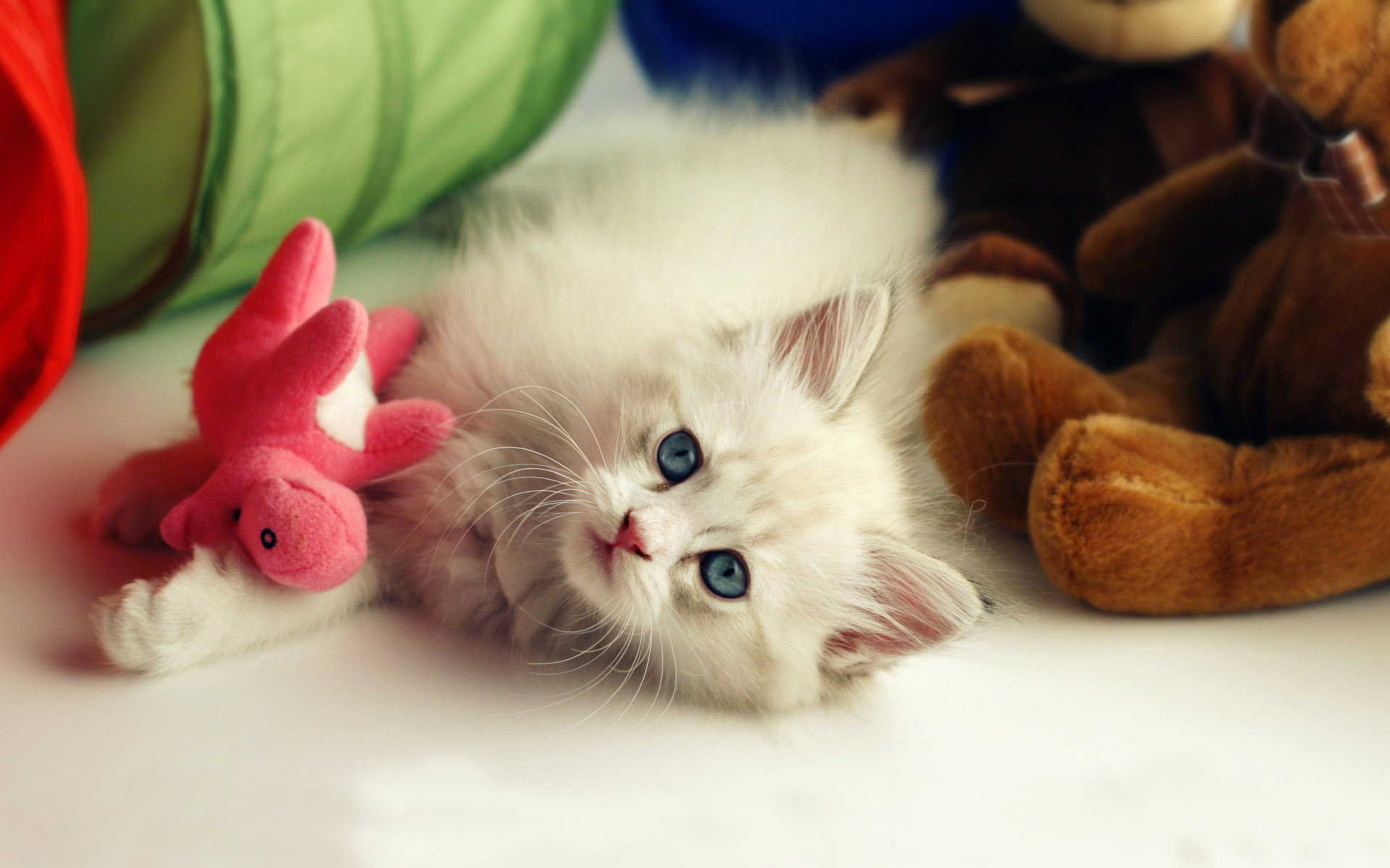 Cute Wallpapers Hd Full Size Wallpapers