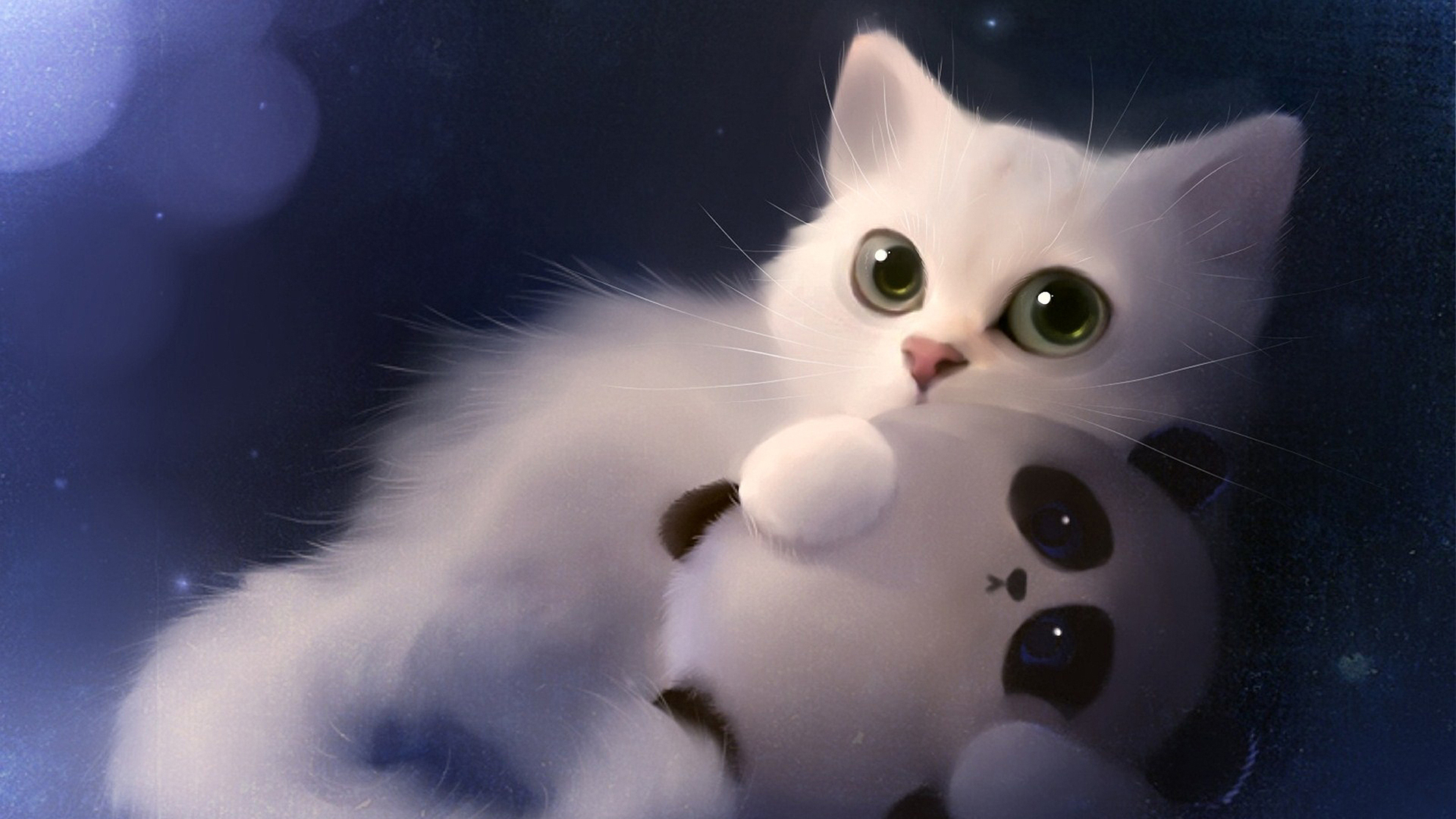 Cute White Cat Wallpapers For Desktop Wallpapers