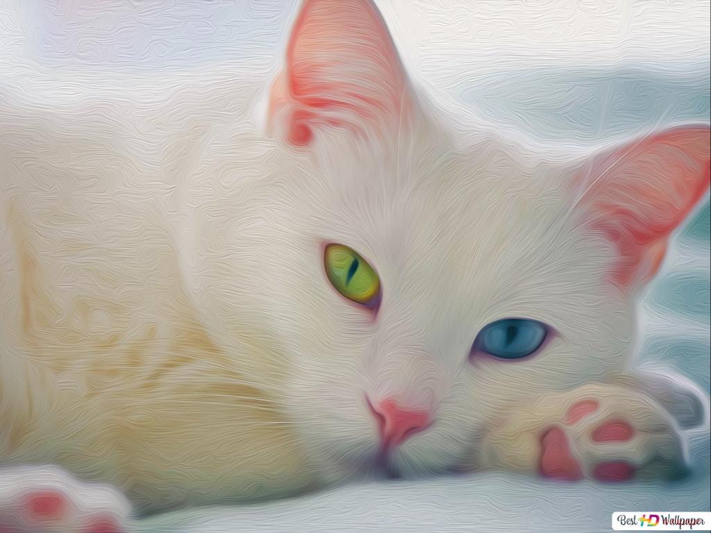 Cute White Cat Wallpapers For Desktop Wallpapers