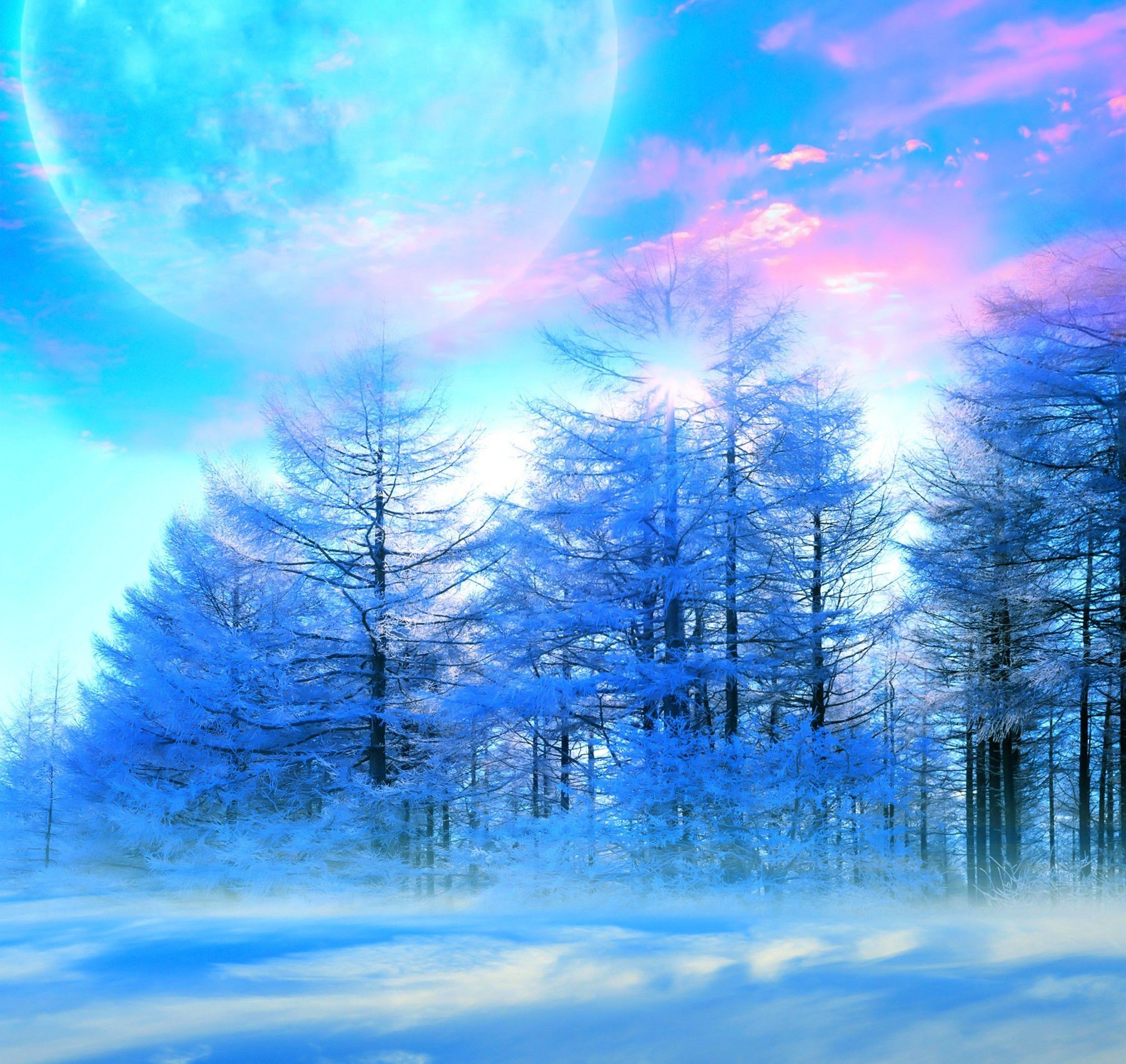 Cute Winter Snow Wallpapers