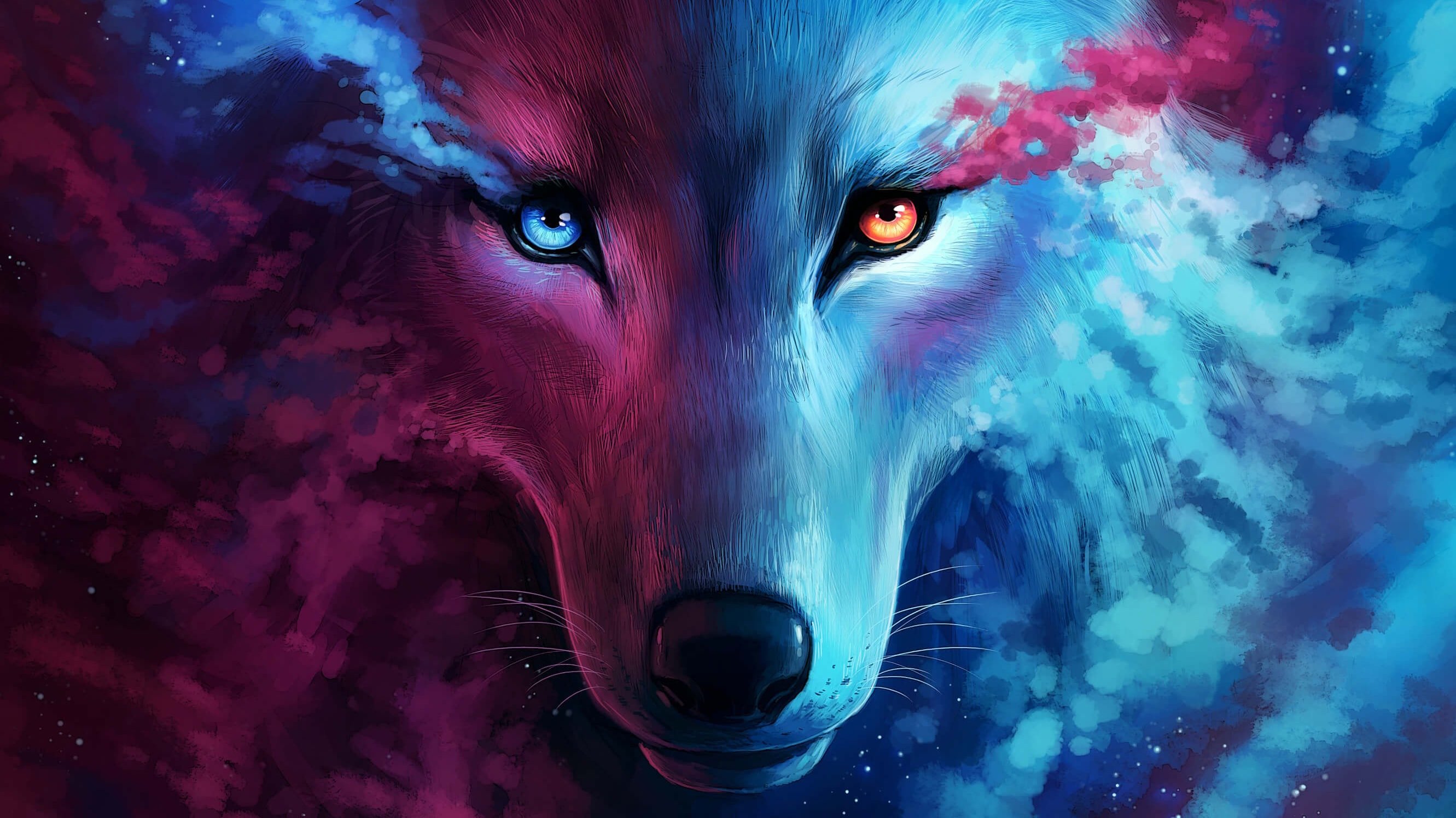 Cute Wolf Wallpapers Wallpapers
