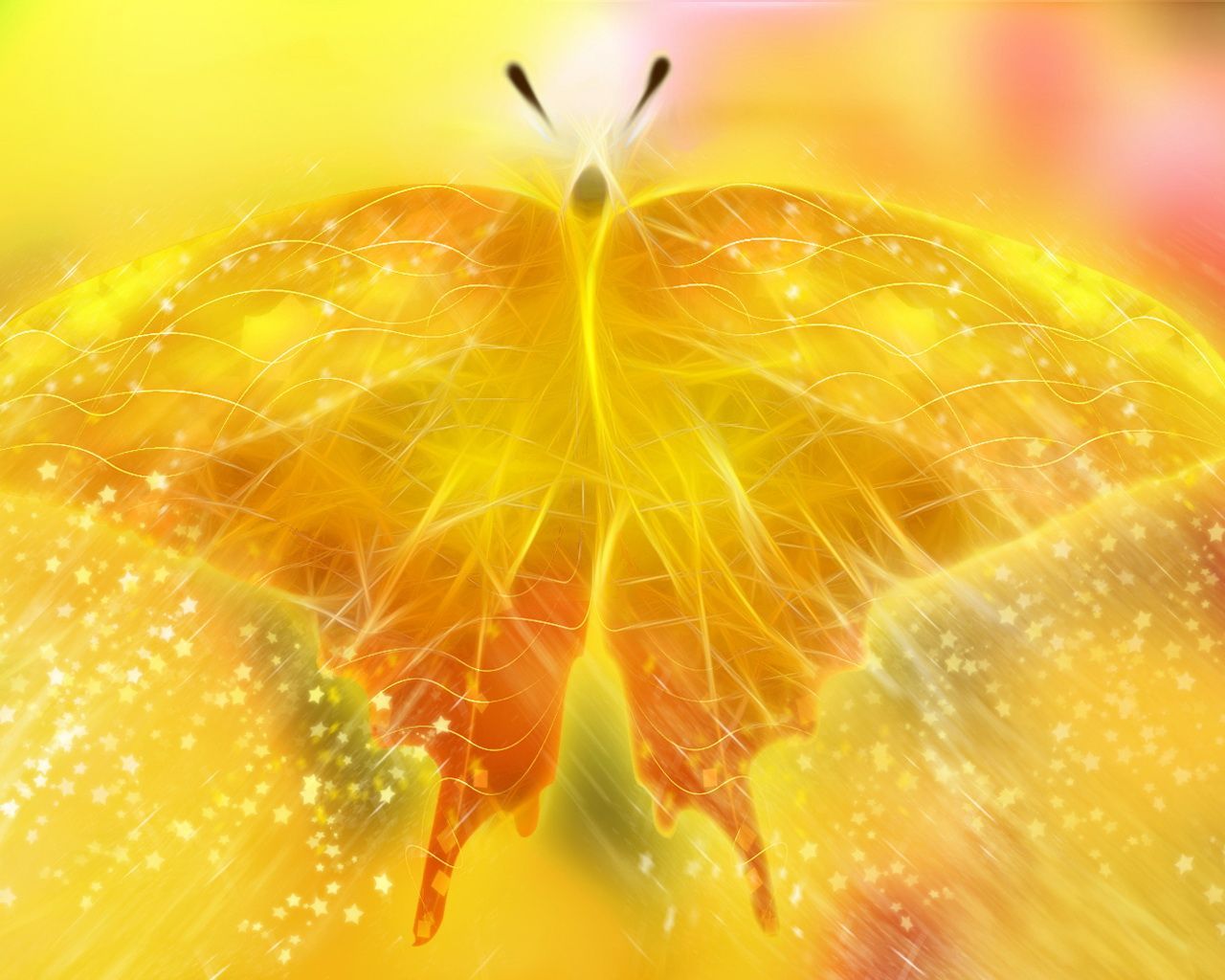 Cute Yellow Butterflies Wallpapers