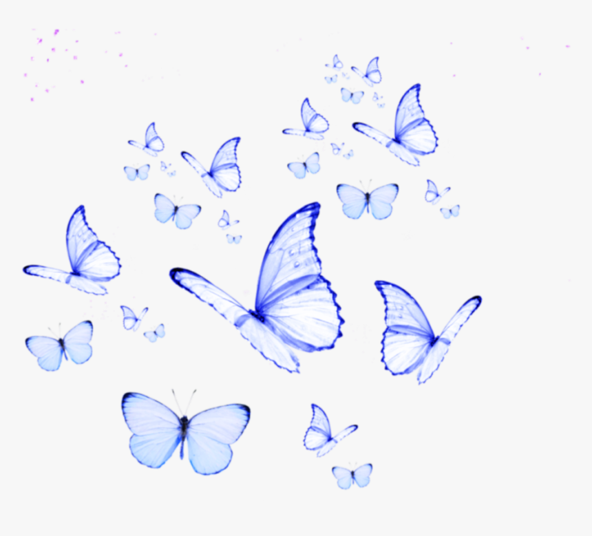 Cute Yellow Butterflies Wallpapers