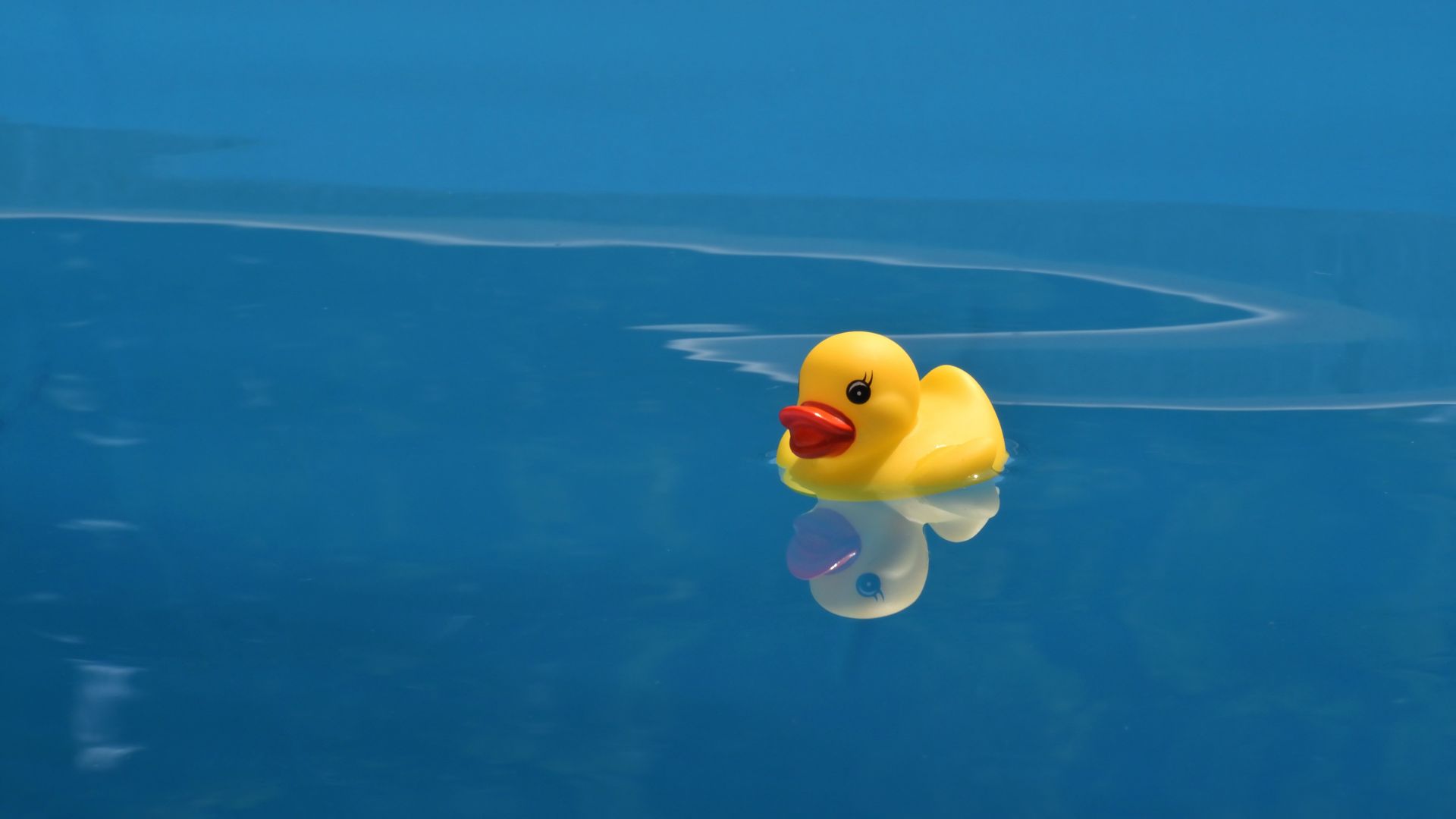 Cute Yellow Ducks Wallpapers