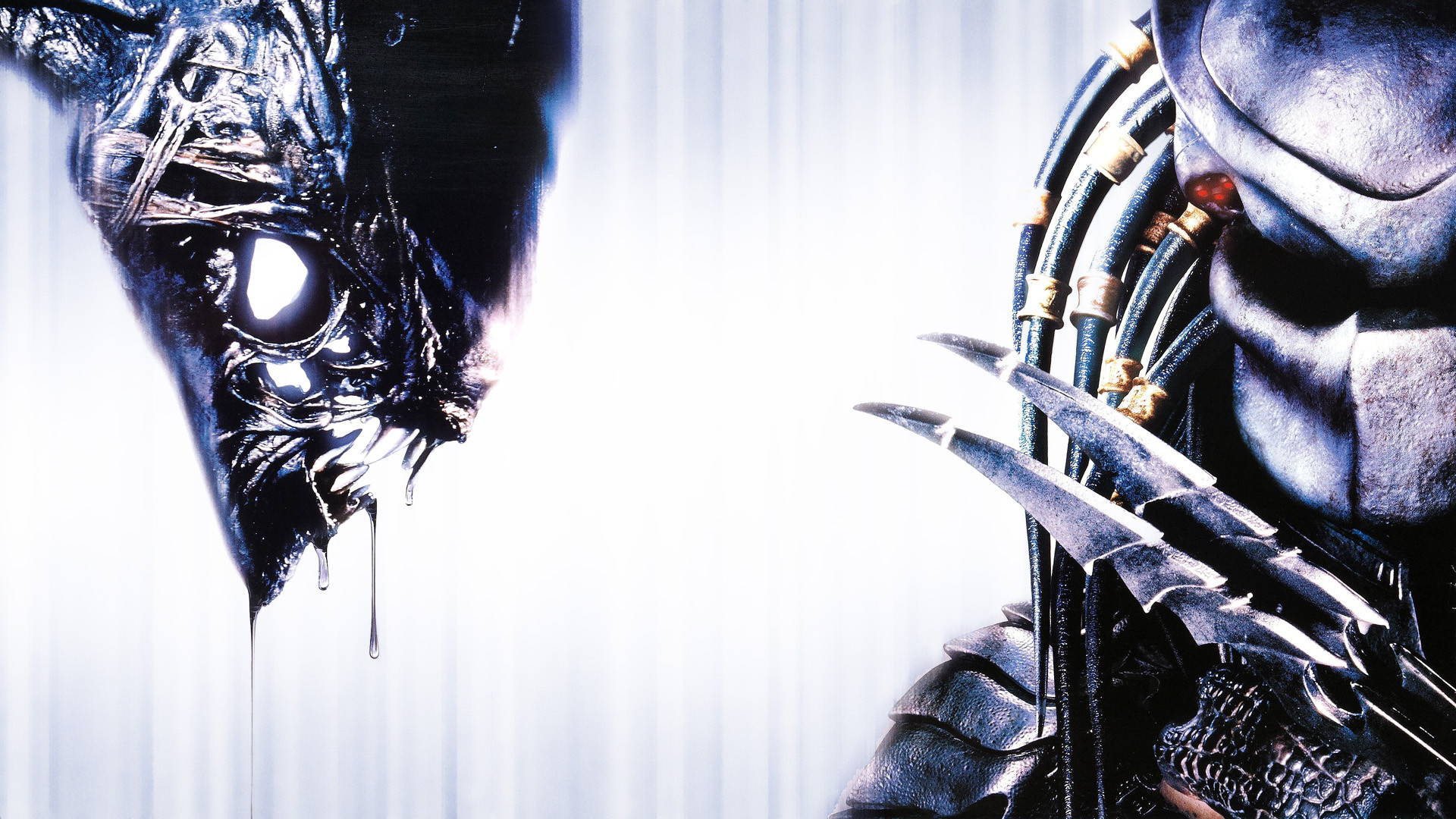 Cool Alien Vs Predator Wallpapers Wallpapers