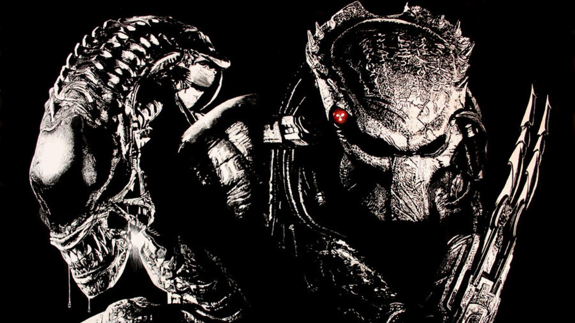 Cool Alien Vs Predator Wallpapers Wallpapers