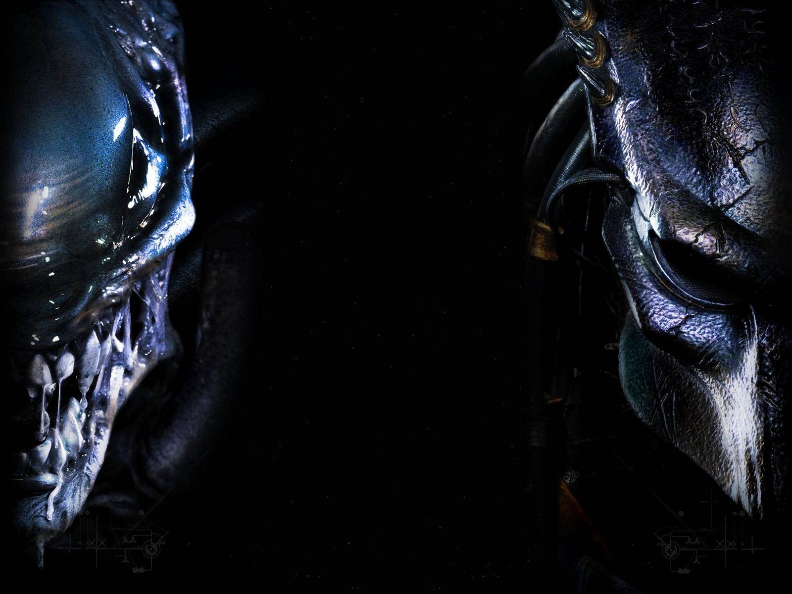 Cool Alien Vs Predator Wallpapers Wallpapers