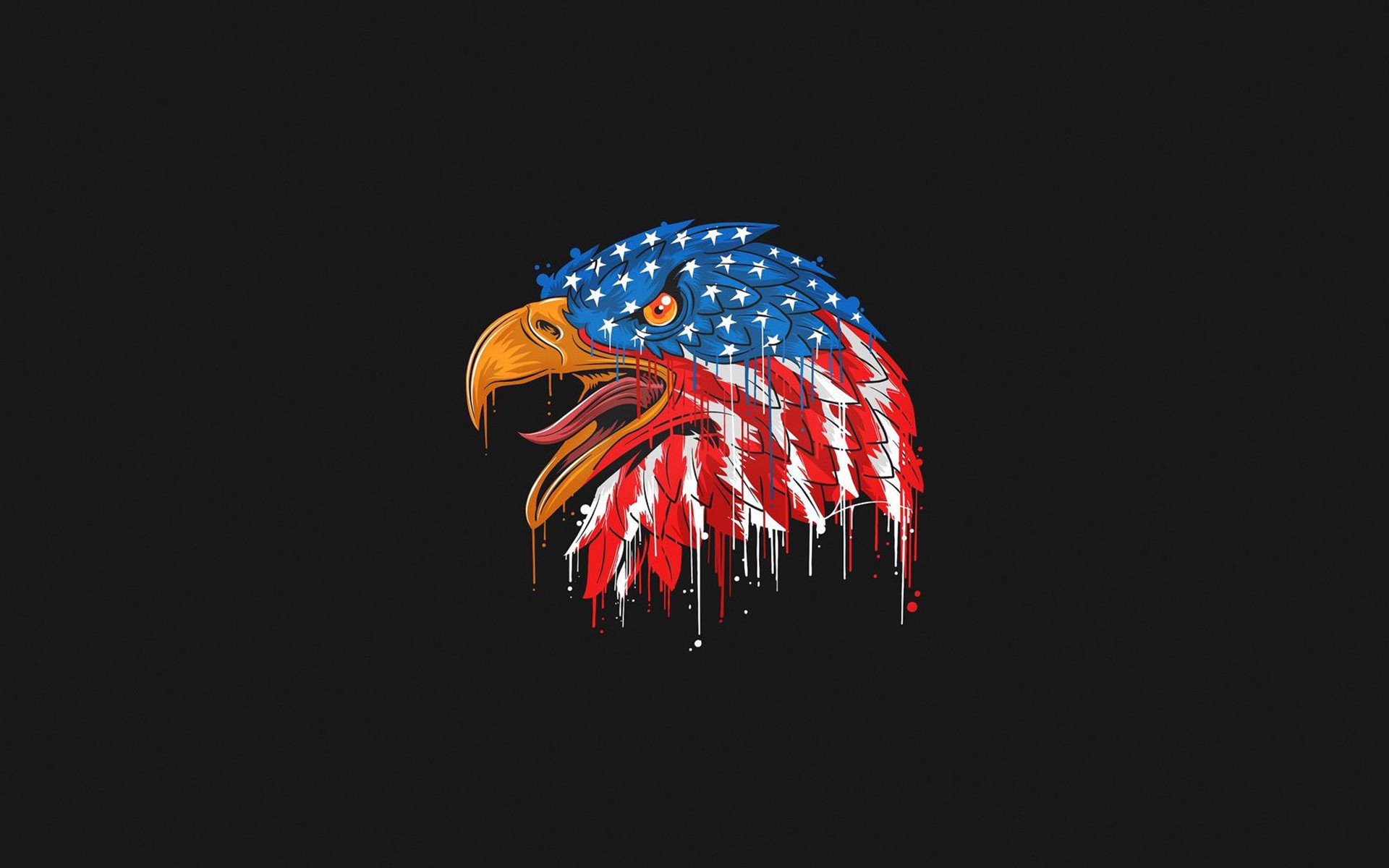 Cool America Wallpapers