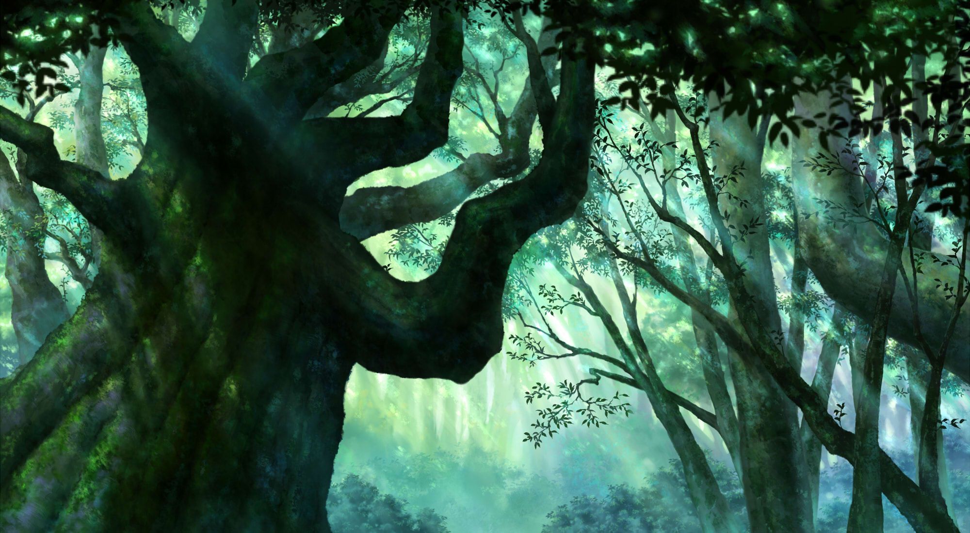 Cool Anime Forest Wallpapers