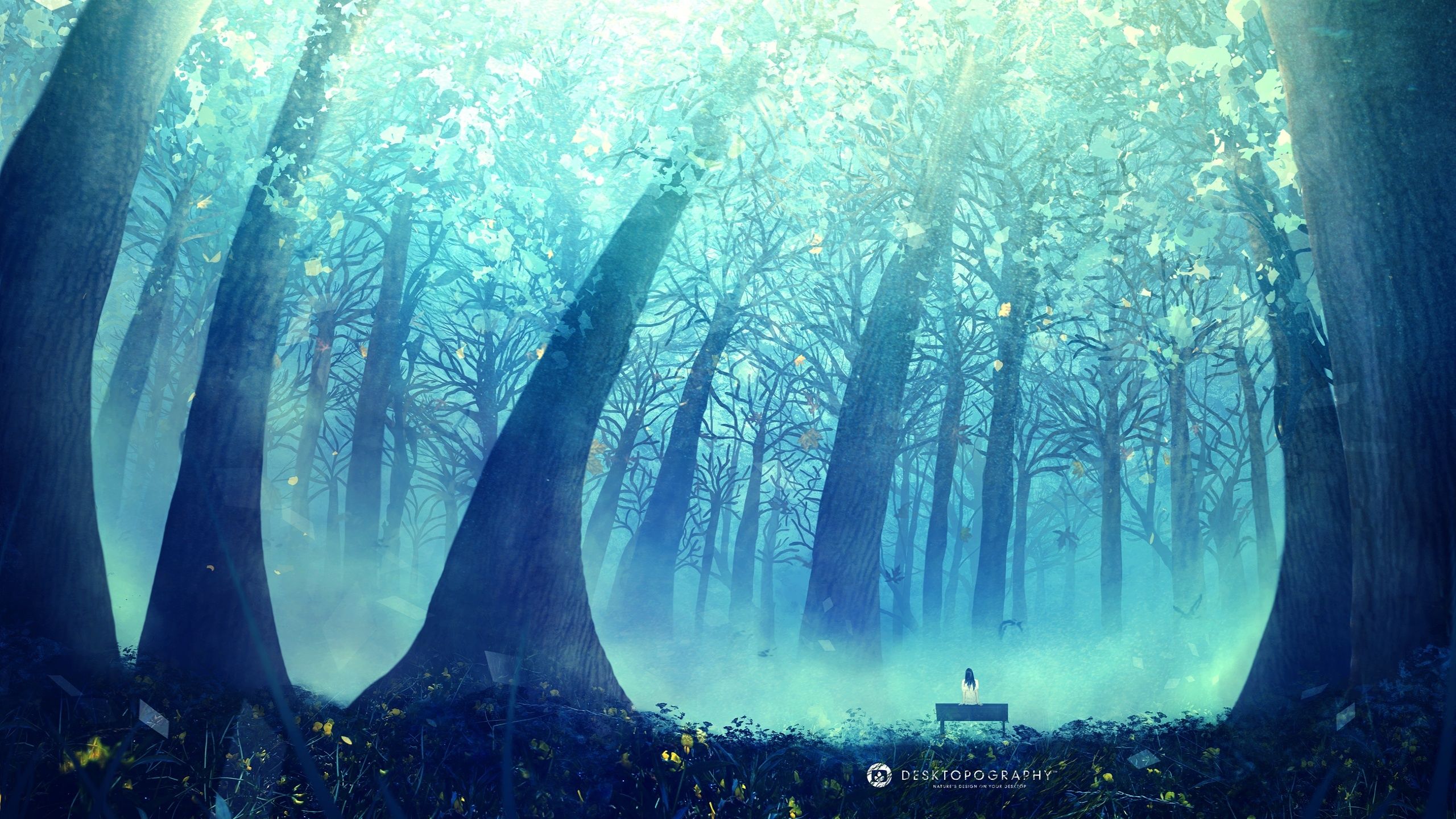 Cool Anime Forest Wallpapers