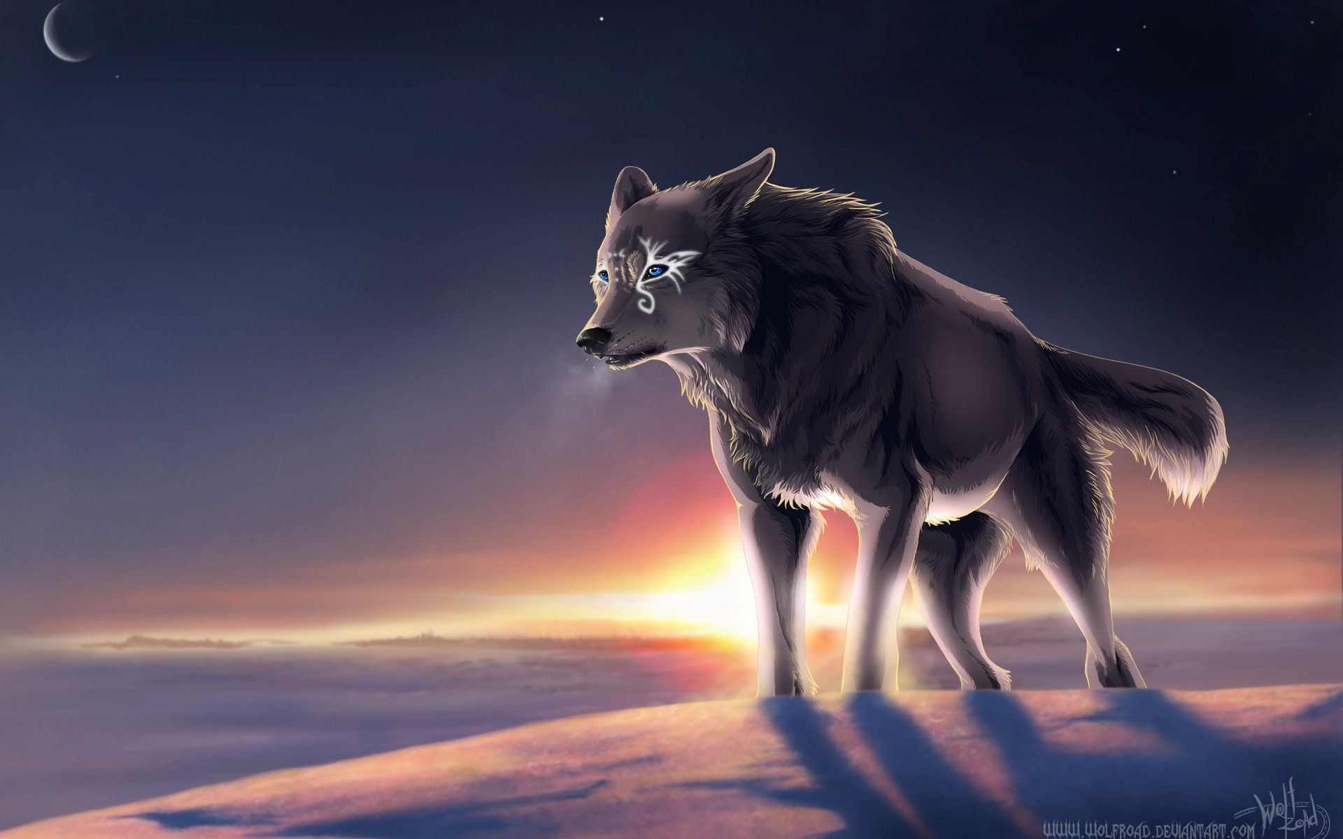 Cool Anime Wolf Wallpapers Wallpapers