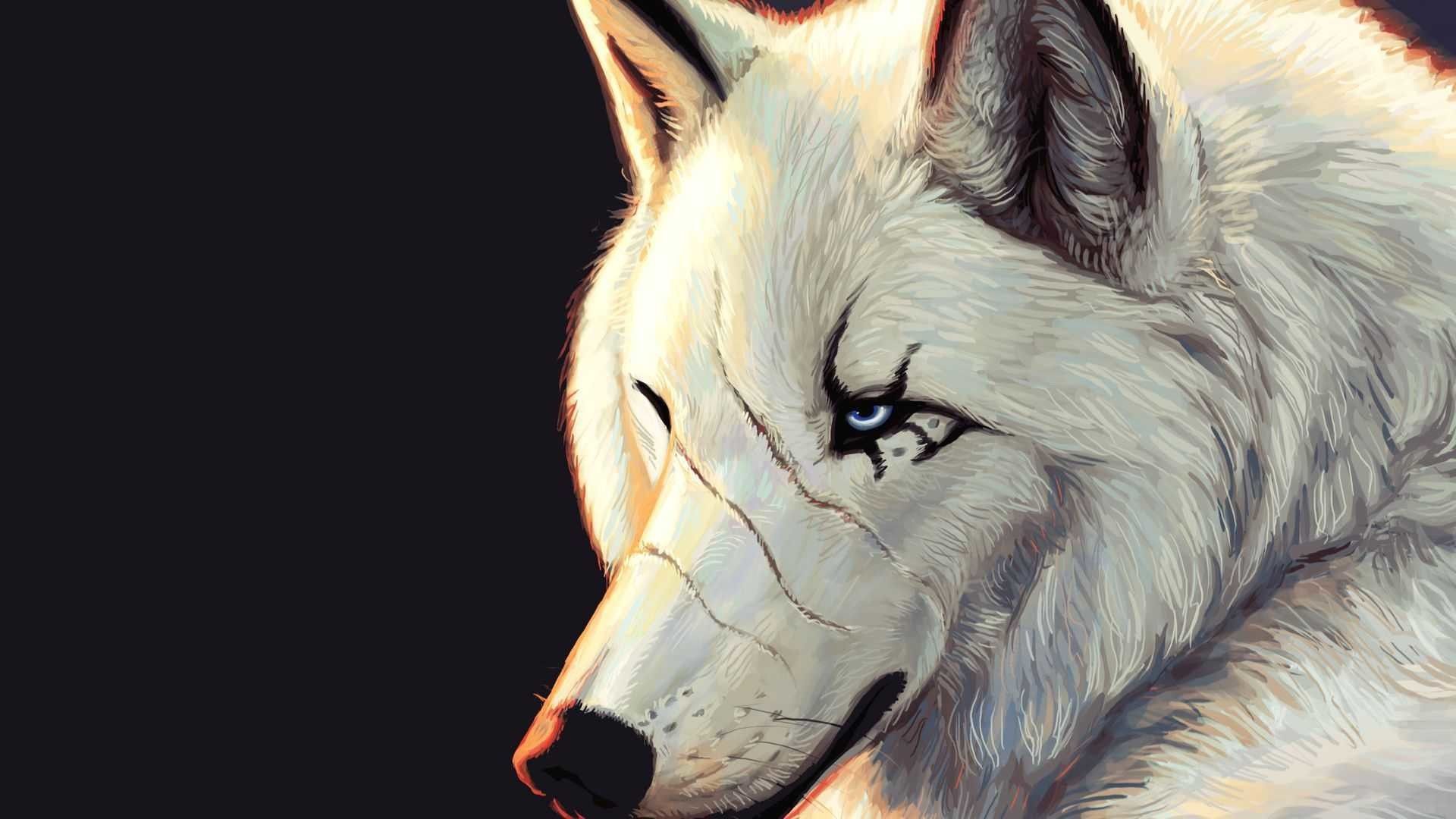 Cool Anime Wolf Wallpapers Wallpapers