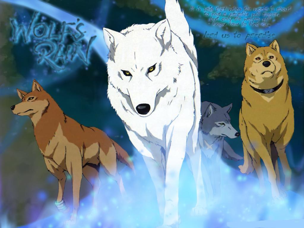 Cool Anime Wolf Wallpapers Wallpapers