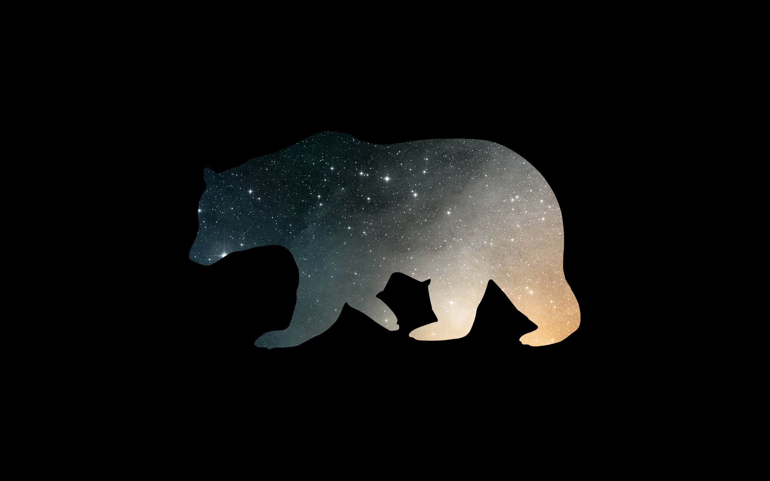 Cool Bear Wallpapers