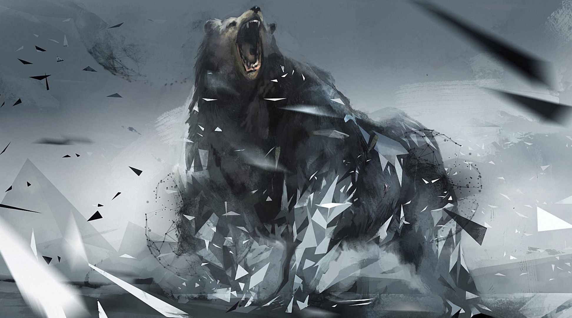 Cool Bear Wallpapers