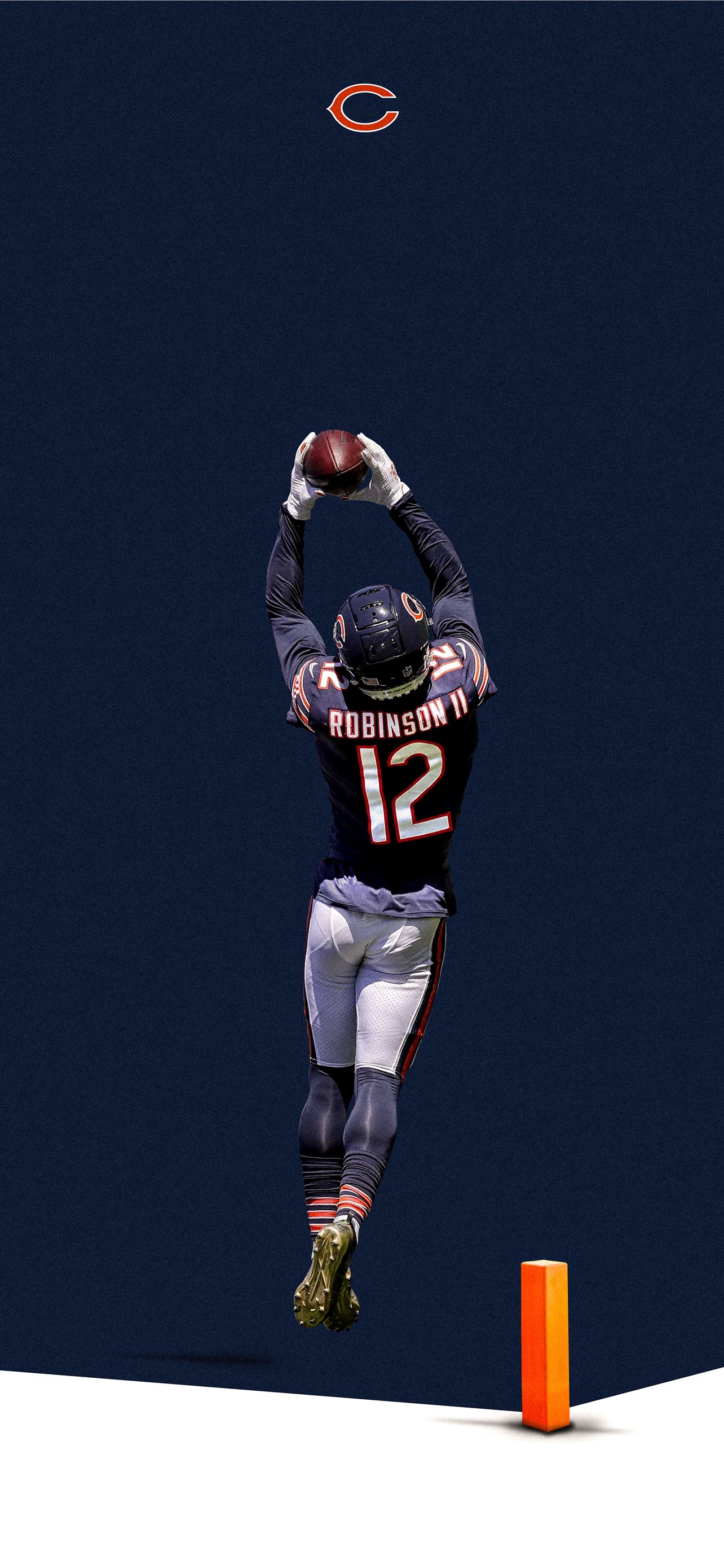 Cool Bears Wallpapers