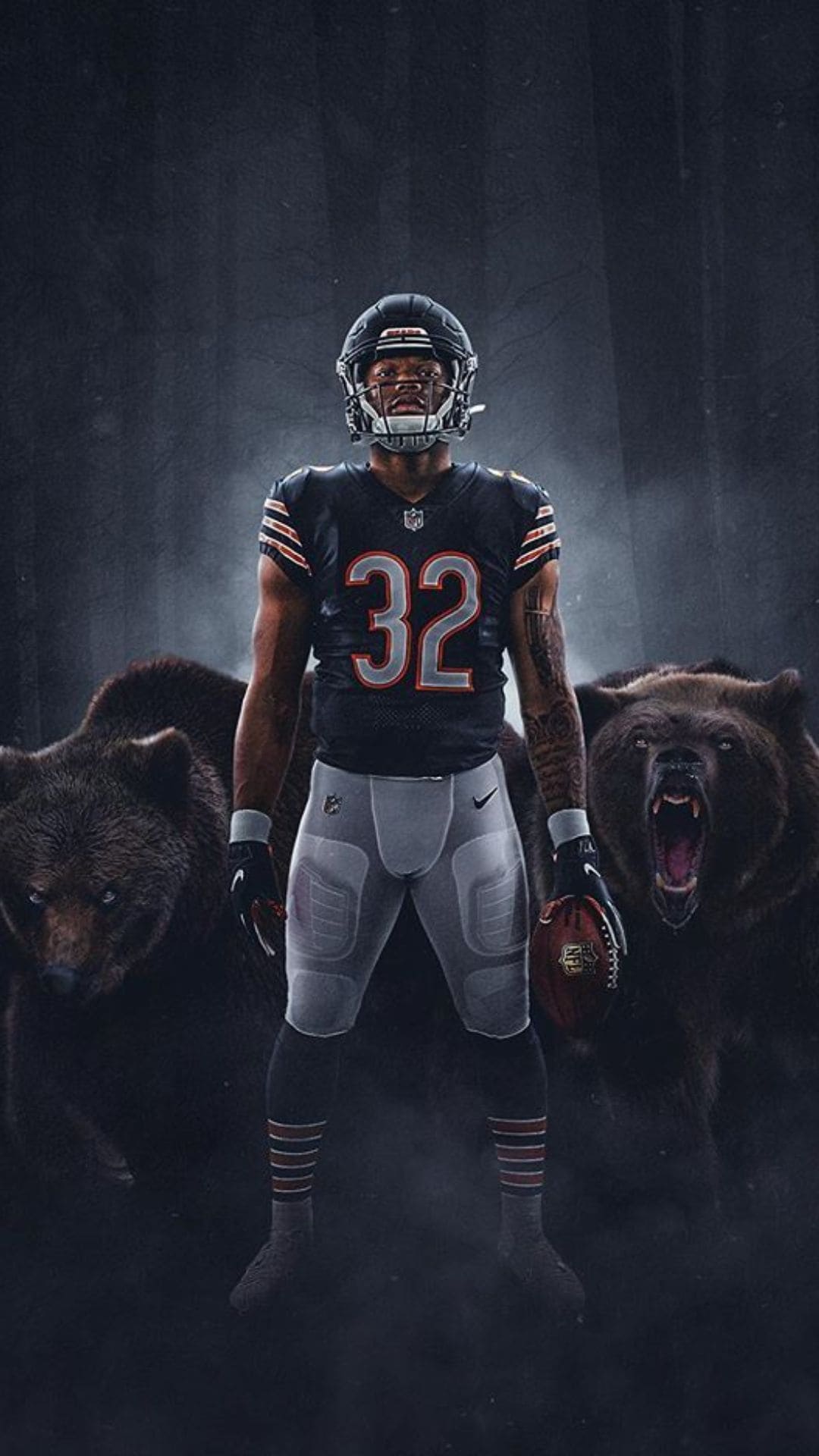 Cool Bears Wallpapers