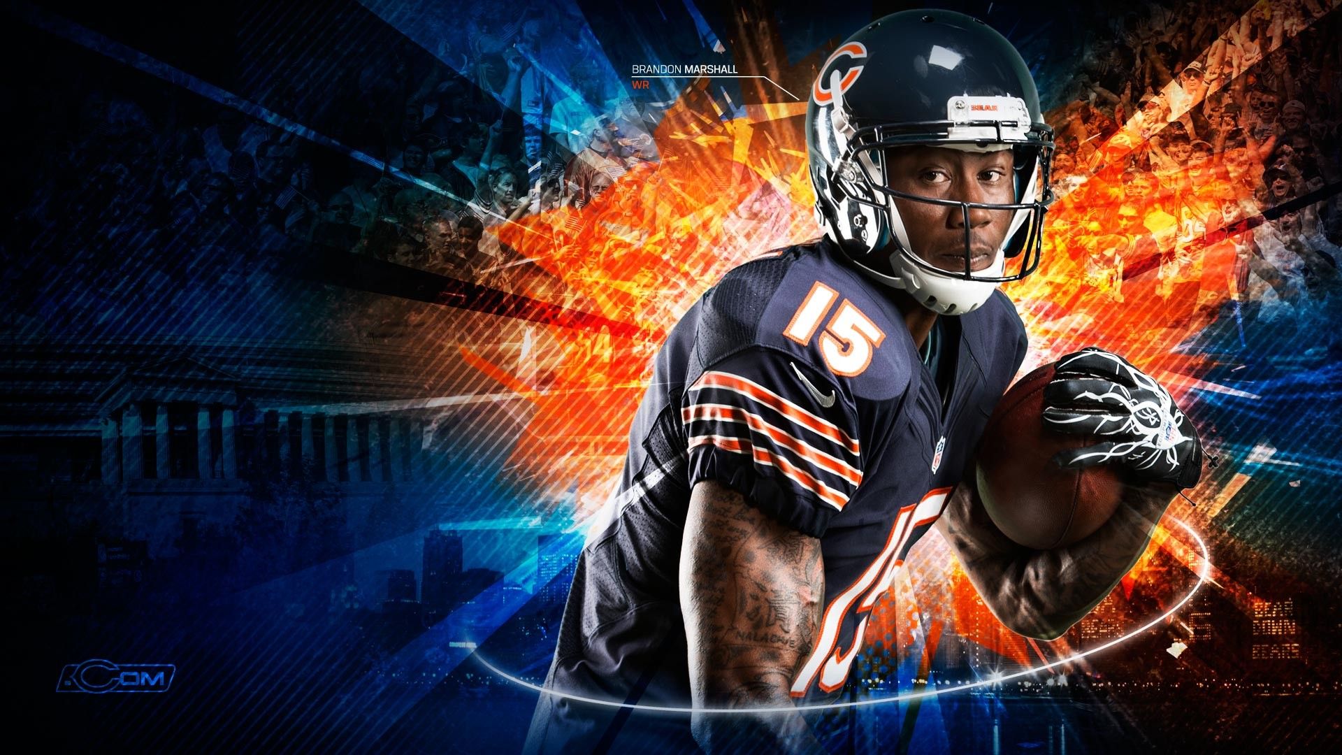 Cool Bears Wallpapers