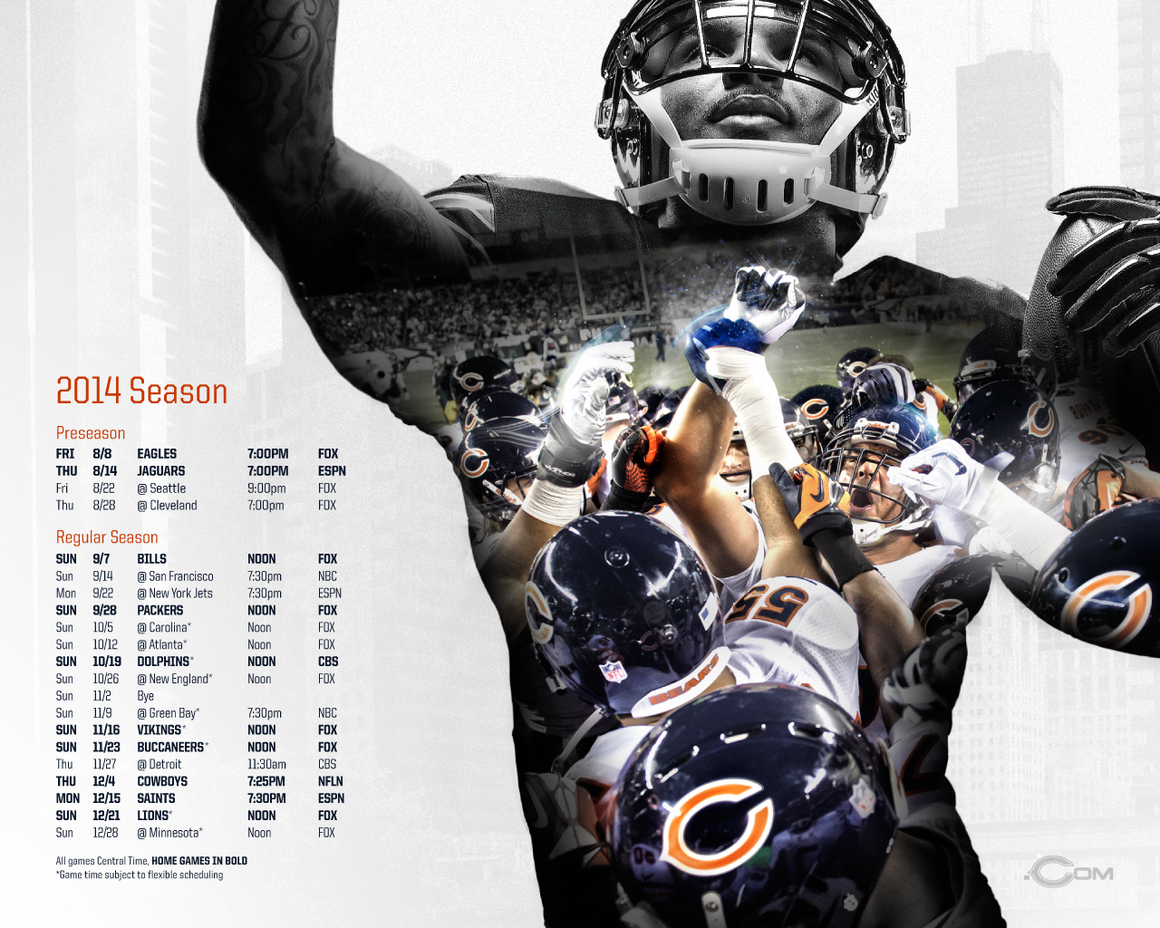 Cool Bears Wallpapers