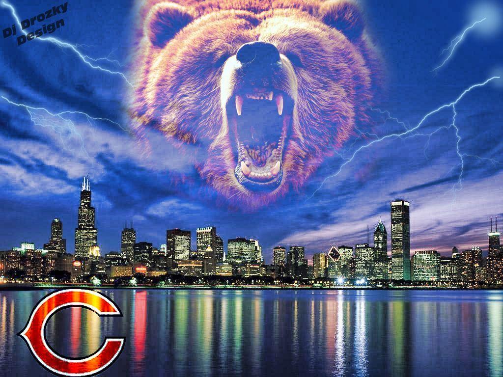 Cool Bears Wallpapers