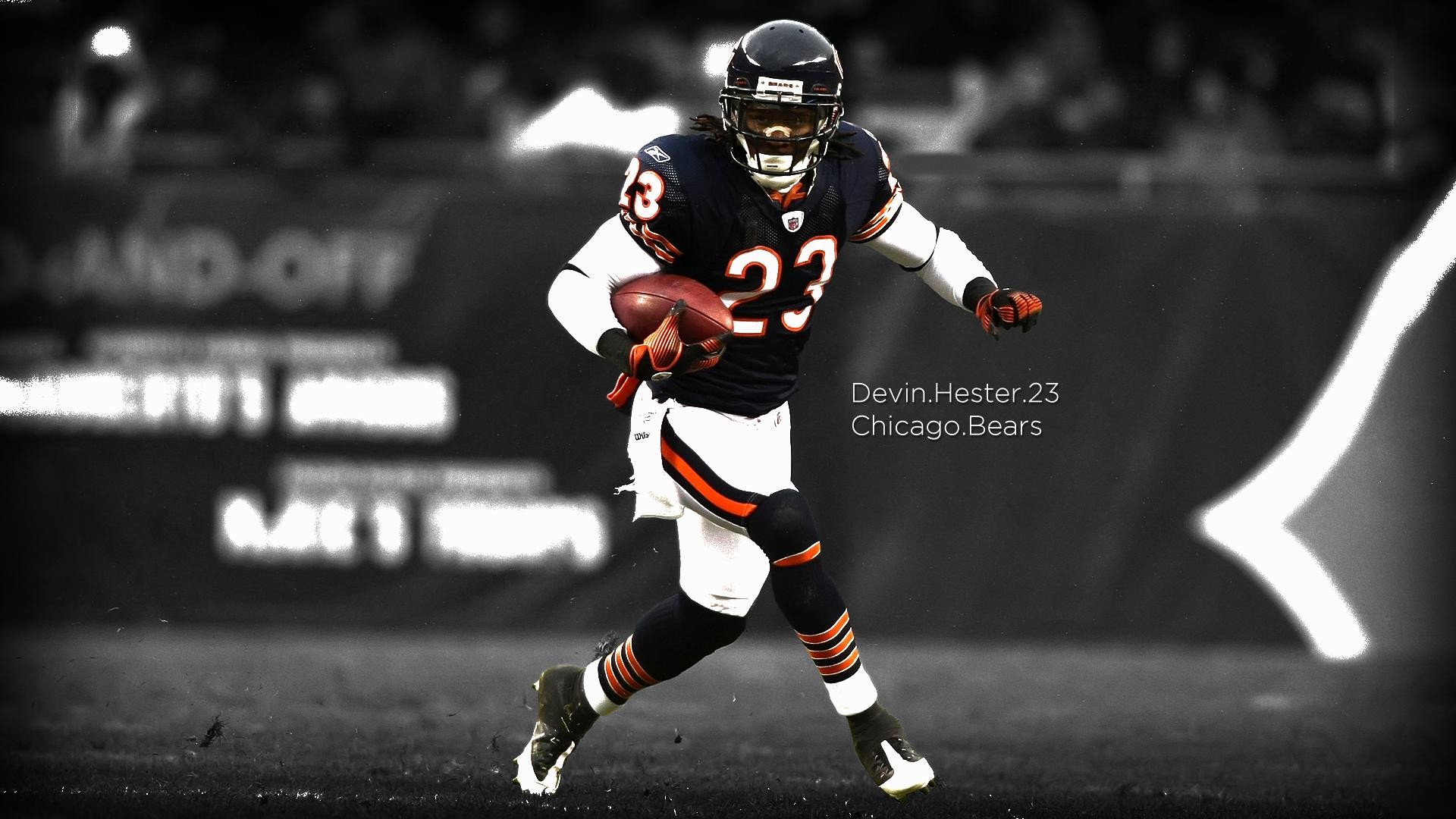 Cool Bears Wallpapers