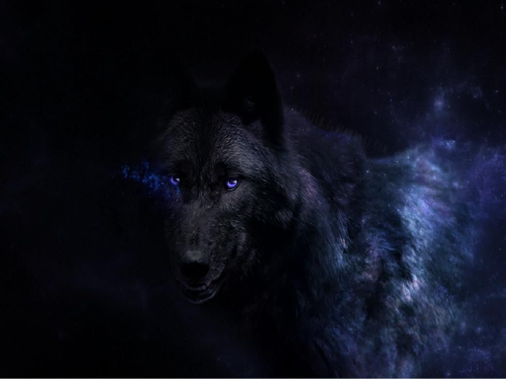 Cool Black Wolf Wallpapers Wallpapers