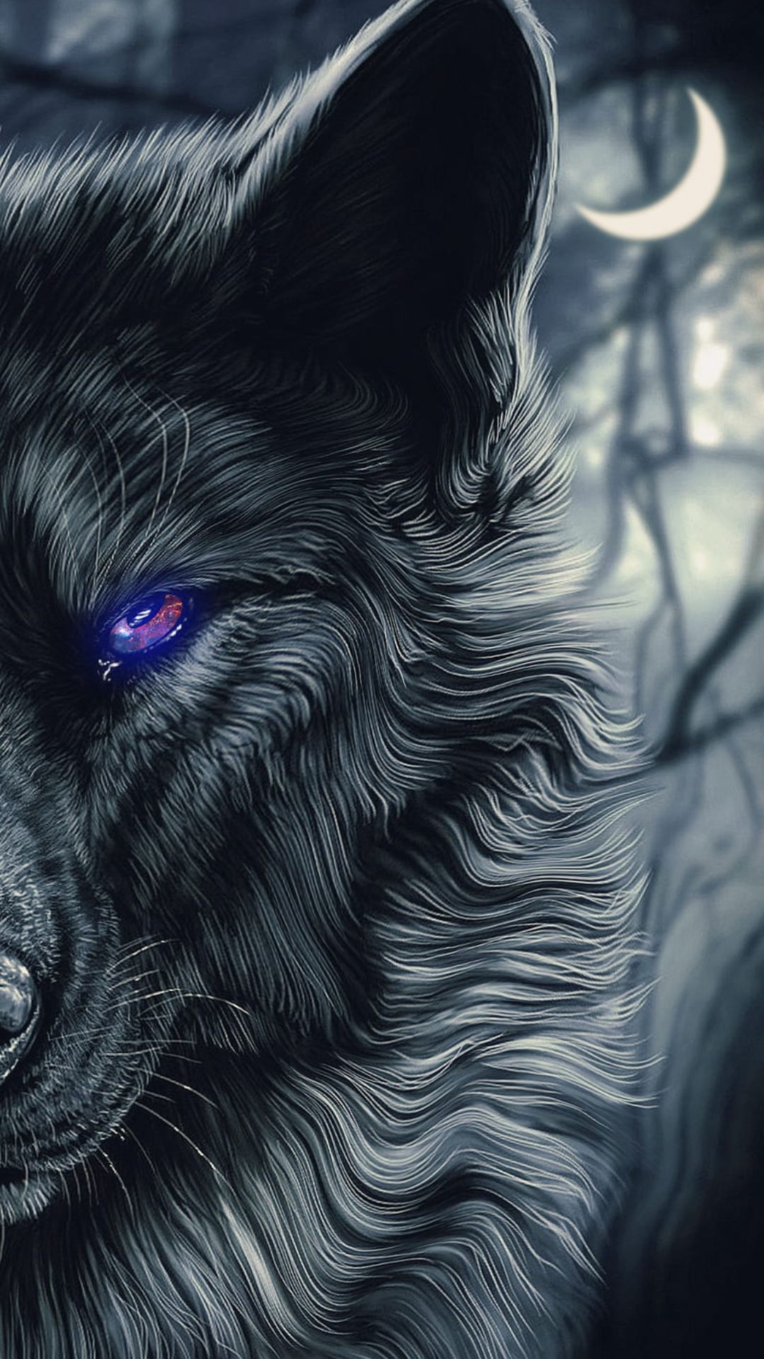 Cool Black Wolf Wallpapers Wallpapers