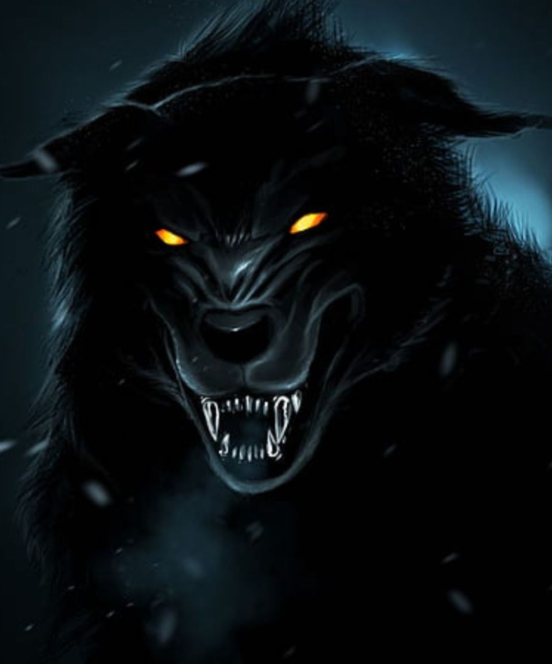 Cool Black Wolf Wallpapers Wallpapers