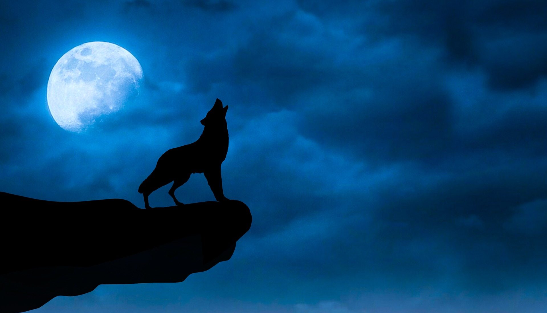 Cool Black Wolf Wallpapers Wallpapers