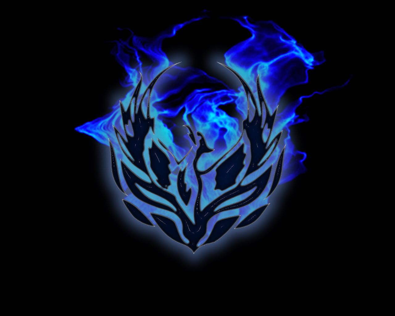 Cool Blue Phoenix Wallpapers