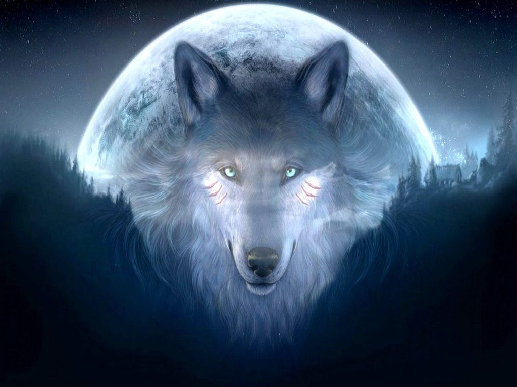 Cool Blue Wolf Wallpapers