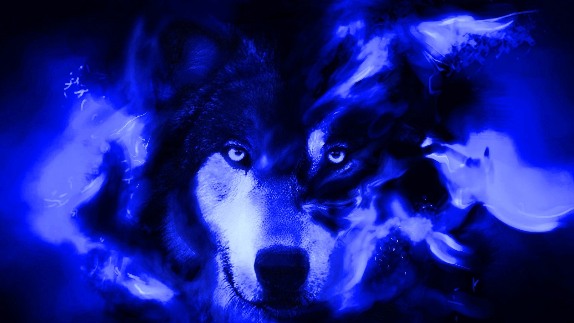 Cool Blue Wolf Wallpapers